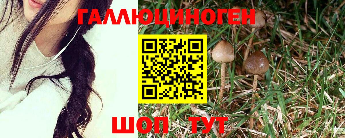 Галлюциногенные грибы GOLDEN TEACHER Ялуторовск