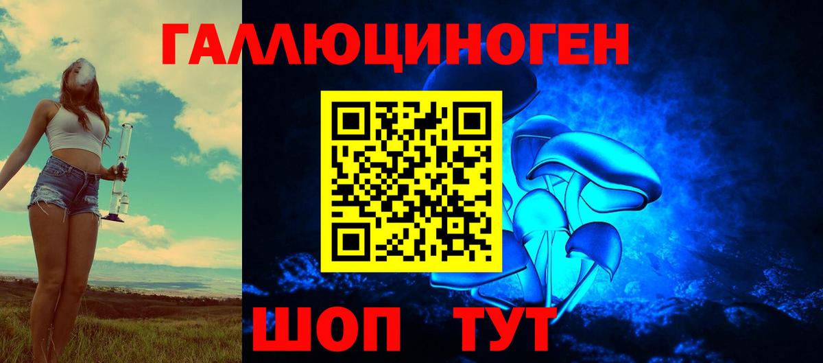 Ялуторовск  Галлюциногенные грибы Cubensis  Вход с VPN 